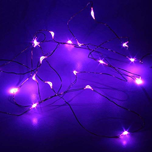 20 LED Purple Micro Lights