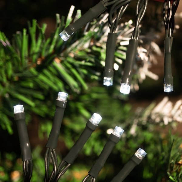 200 LED Solar Lights illuminating a Christmas tree