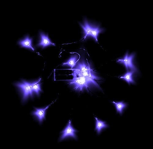 20 LED Purple Fairy Lights