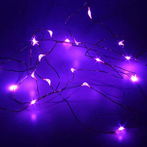 20 LED Purple Micro Lights