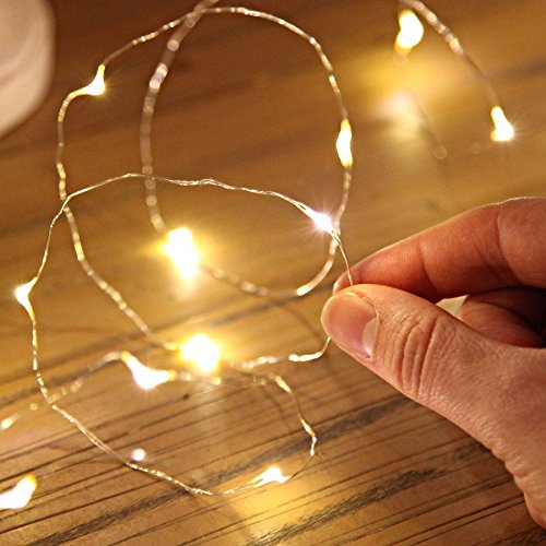 20 LED Warm White Micro Lights