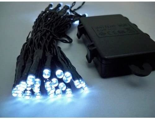 50 LED String Lights with Timer - Lush Lights